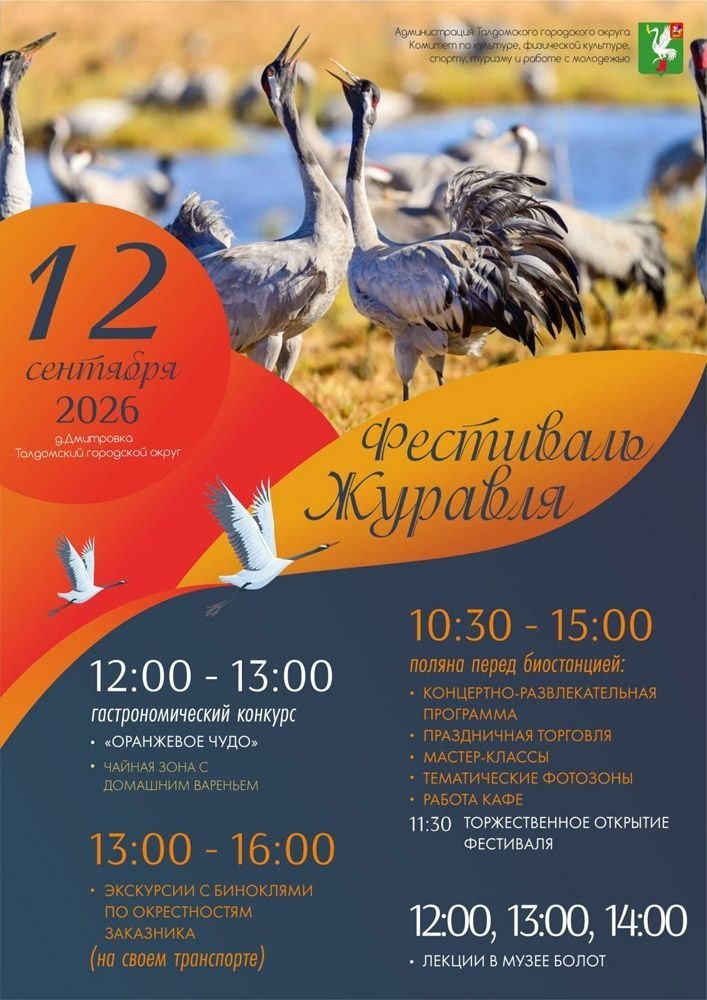 Успеть до отлёта!