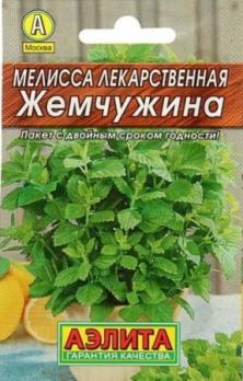 Мелисса лекарственная Жемчужина